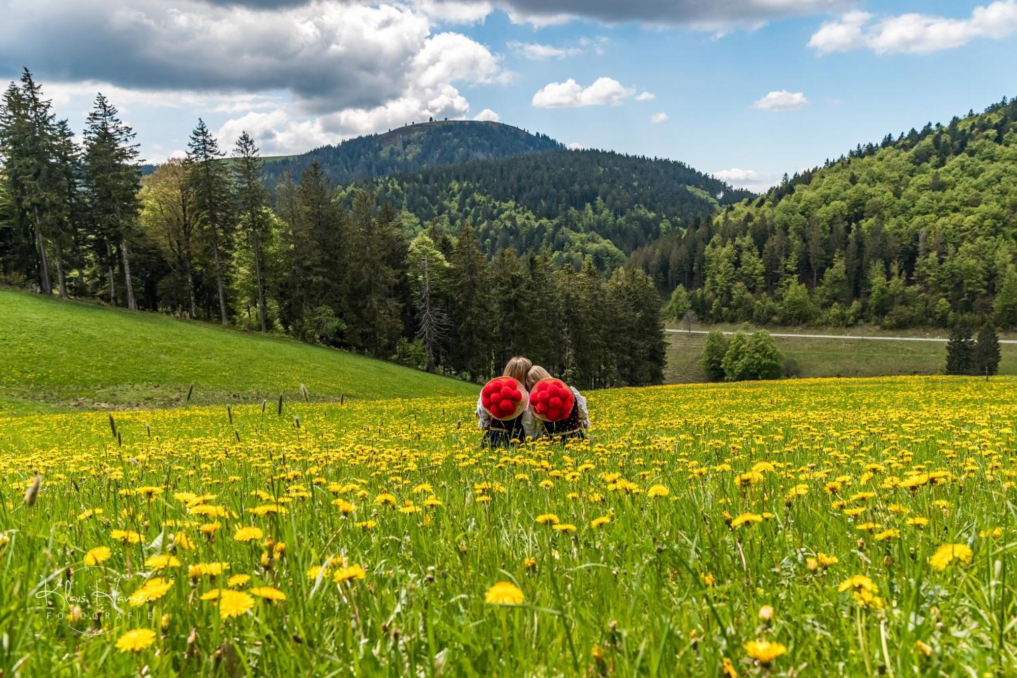 Schwarzwaldhaus Sonnenstrasse, Oberried-Hofsgrund, Dreisamtal Oberried (Breisgau) Exterior foto